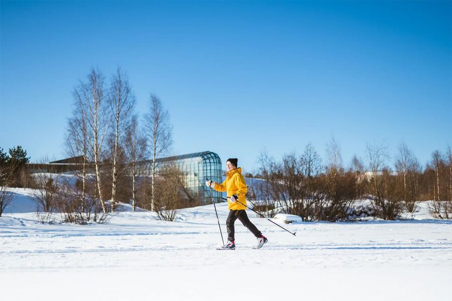 Rovaniemi: Cross Country Wilderness Ski Adventure - Key points to know before booking