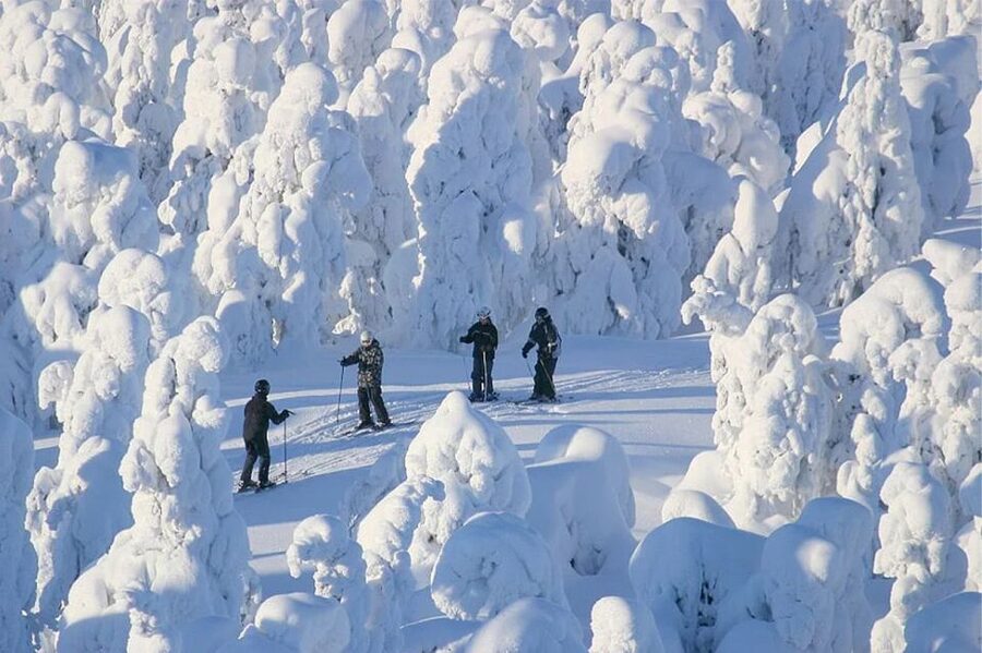 Rovaniemi: Cross Country Wilderness Ski Adventure - Starting in central Rovaniemi