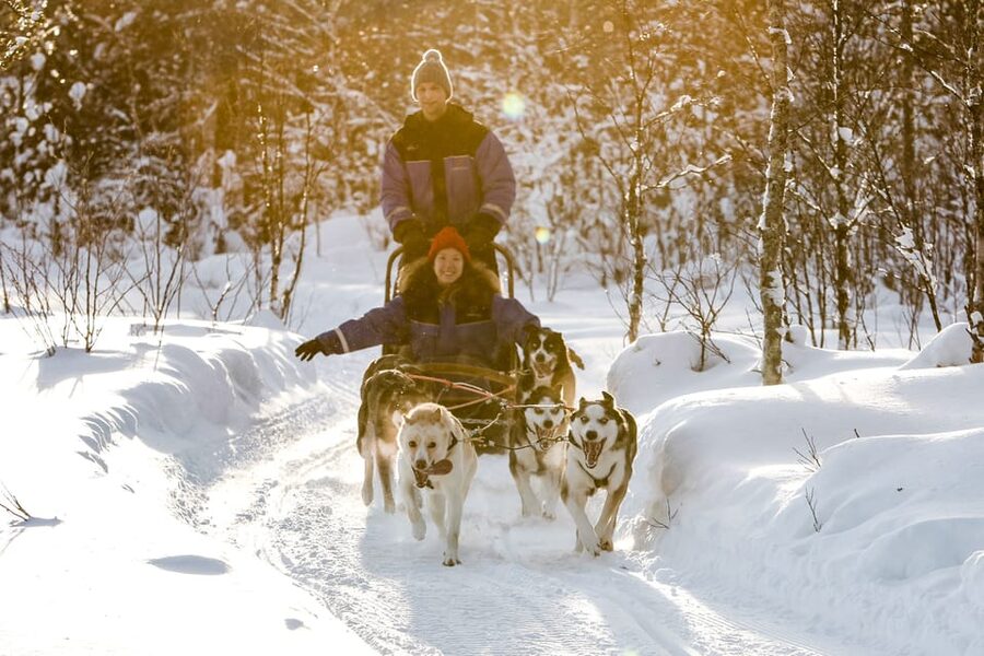 Rovaniemi: Daytime Husky Safari - Why driving the sled makes this more than a photo stop