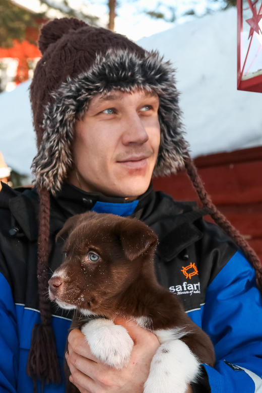 Rovaniemi: Daytime Husky Safari - The 5 km route through forest and over ice