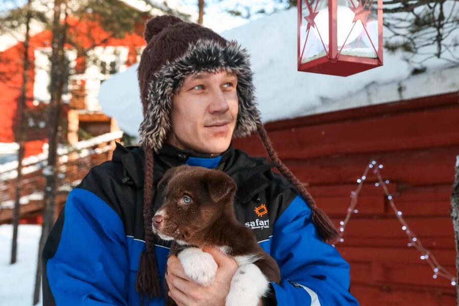Rovaniemi: Daytime Husky Safari - At the kennel, meet the dogs before the trail