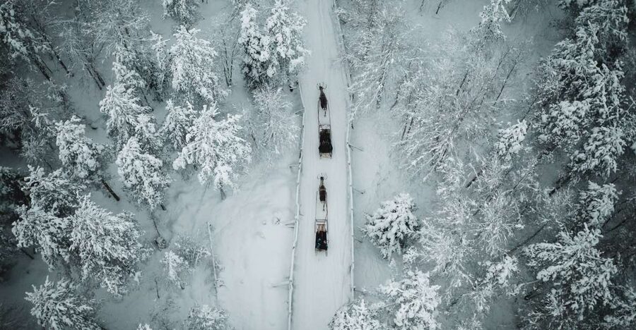 Rovaniemi: Daytime Reindeer Sleigh Ride - Settling into the traditional sleigh