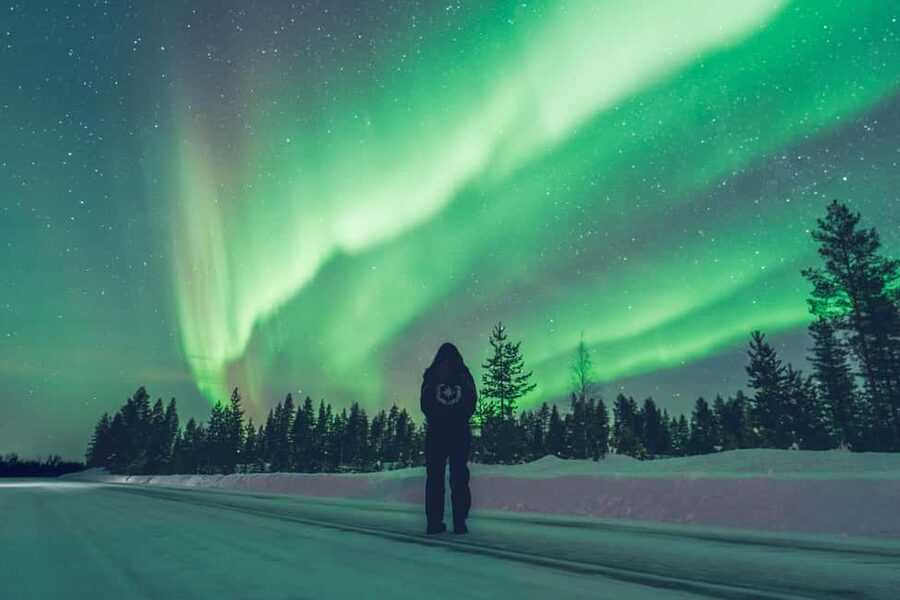 Rovaniemi: Discover the Northern Lights Photography Tour - Stop two: fire, food, and a longer Arctic pause