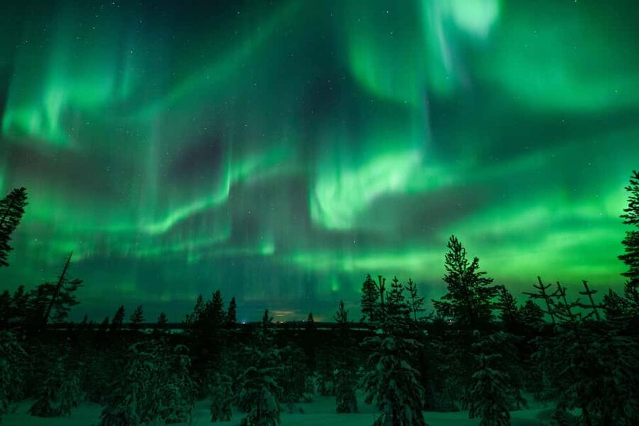 Rovaniemi: Discover the Northern Lights Photography Tour - Staying warm in Finnish Lapland