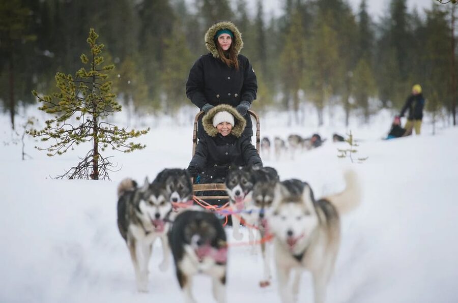 Rovaniemi: Family Friendly Husky Ride and Farm Visit - What to wear and who should skip it