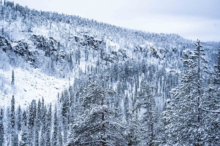 Rovaniemi: Frozen Waterfalls of Korouoma Canyon & Pro Photos - The photo service is more than a quick snapshot