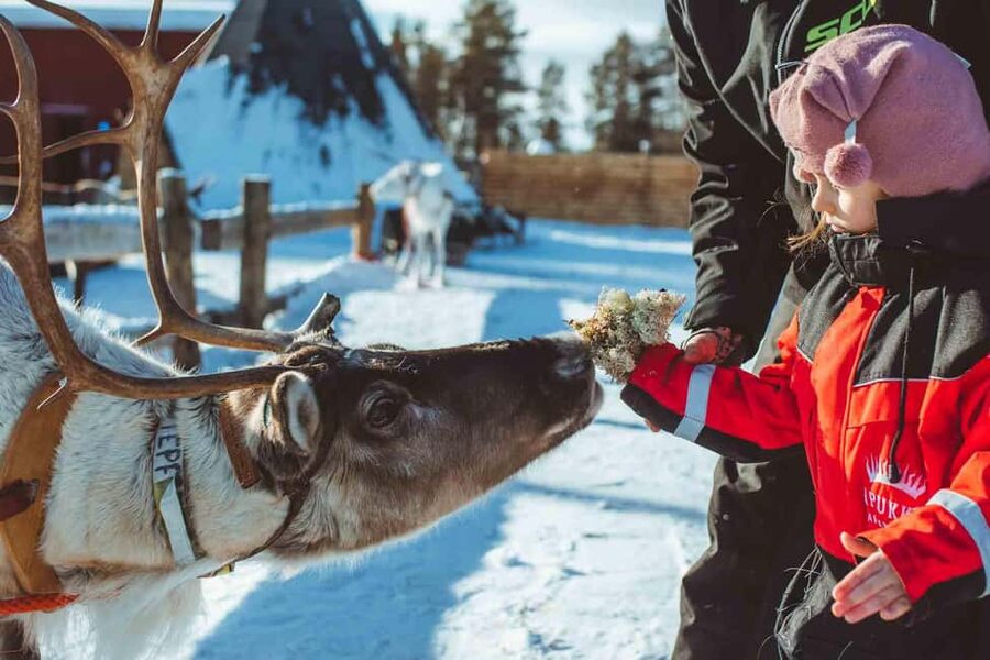 Rovaniemi: Full-Day Snow and Fun Activities - Key points to know before you book
