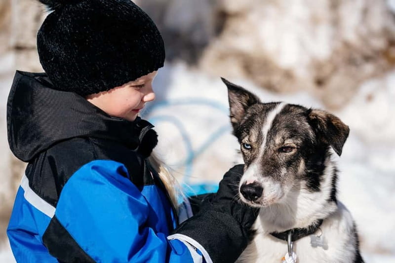 Rovaniemi: Full-Day Snow and Fun Activities - Getting from Rovaniemi to Apukka Resort