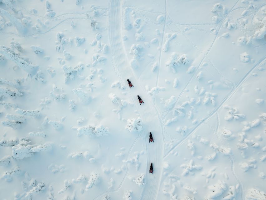 Rovaniemi: Full-Day Snowmobile Safari into the Wilderness - Key points at a glance