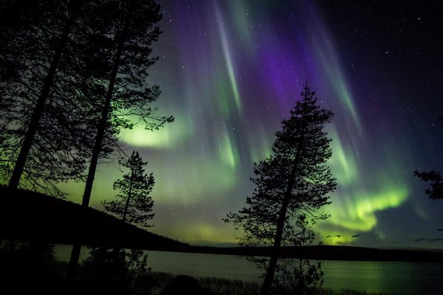 Rovaniemi: Guaranteed Aurora Hunting Tour with Local Guide - Should you book the Rovaniemi Aurora hunt?