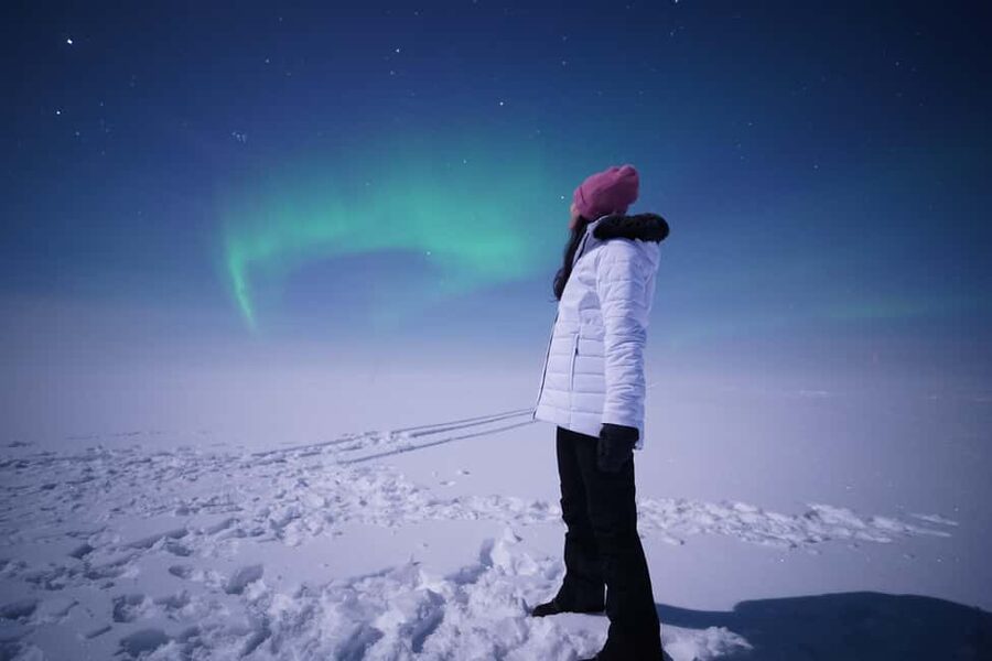 Rovaniemi: Guaranteed Northern Lights Tour with Photos - Photos without taking yourself out of the moment