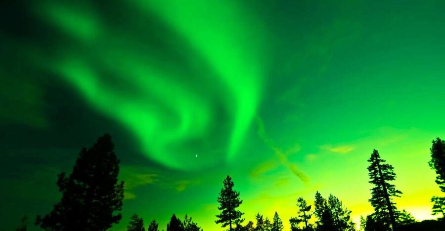 Rovaniemi: Guided Northern Lights Tour - Who should book this Northern Lights tour?