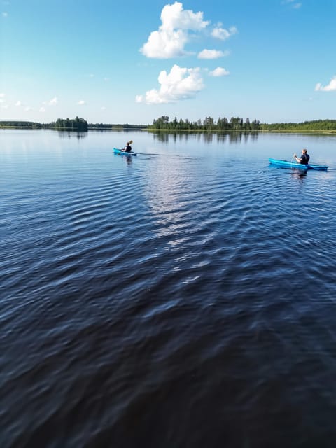 Rovaniemi: Guided Wilderness Kayaking Adventure - Who will enjoy this outing