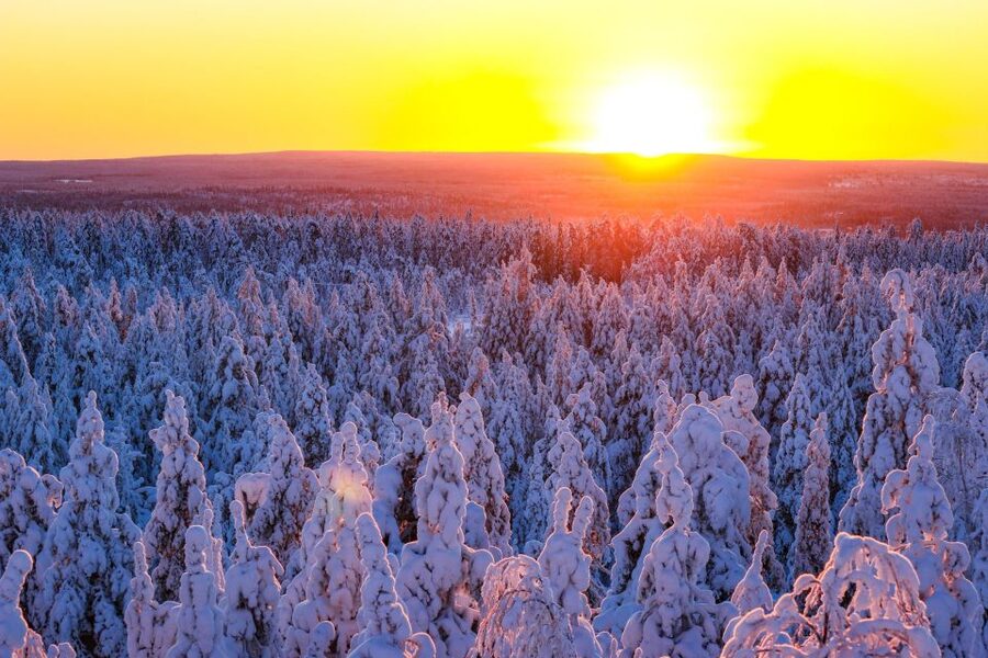 Rovaniemi: Guided Wilderness Snowmobile Ride - Key points to know before you book