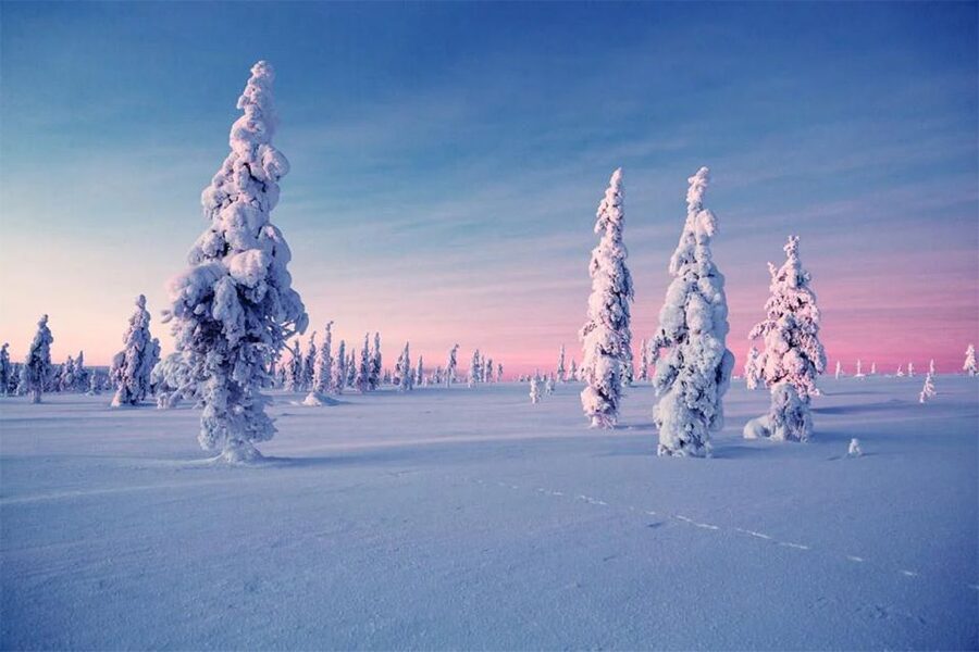 Rovaniemi: Half-Day Snowmobile & Ice Fishing Experience - Getting Dressed for the Arctic