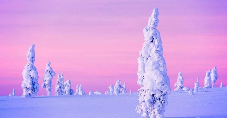 Rovaniemi: Half-Day Snowmobile & Ice Fishing Experience - Who Will Enjoy This Rovaniemi Experience?