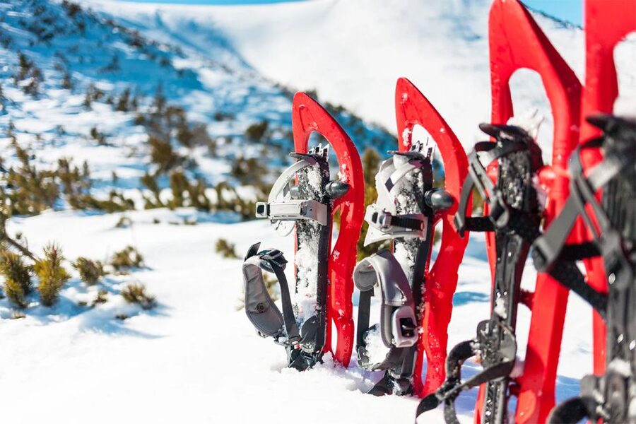 Rovaniemi: Hiking and Snowshoeing Adventure in Lapland - Learning to walk in snowshoes
