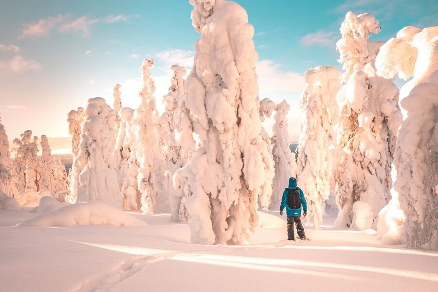 Rovaniemi: Hiking and Snowshoeing Adventure in Lapland - The guides make the biggest difference