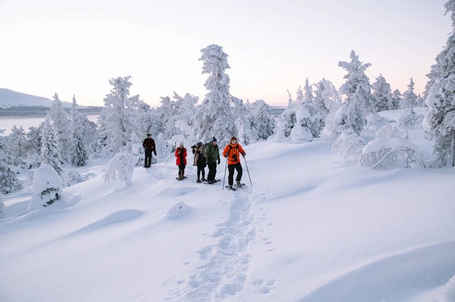 Rovaniemi: Hiking and Snowshoeing Adventure in Lapland - Crossing the frozen lake and entering the trees