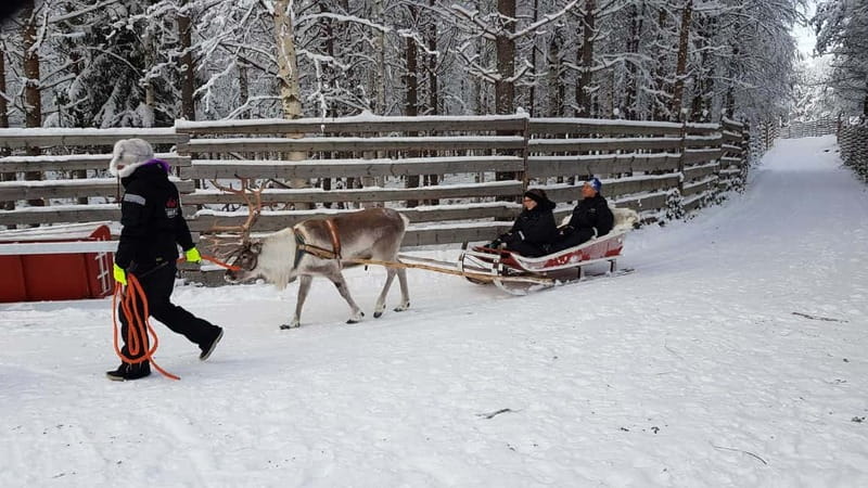 Rovaniemi: Husky Farm and Reindeer Experience - Meeting points and timing details