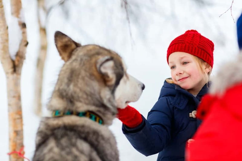 Rovaniemi: Husky Farm and Reindeer Experience - Who will enjoy this tour most?