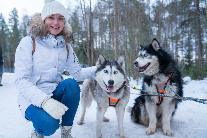 Rovaniemi: Husky Farm and Reindeer Experience - Reindeer Manor and the 500-meter sled ride