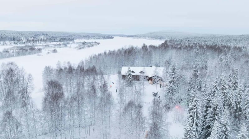 Rovaniemi: Husky & Reindeer Experience with Snowmobile Ride - Meeting reindeer and learning about herding
