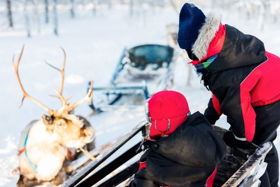 Rovaniemi: Husky & Reindeer Experience with Snowmobile Ride - Guides, organization, and the pace of the day
