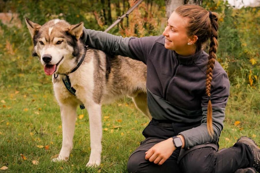 Rovaniemi: Husky Safari & Campfire BBQ – 6‑10 km Self‑Drive - What the five-hour schedule includes