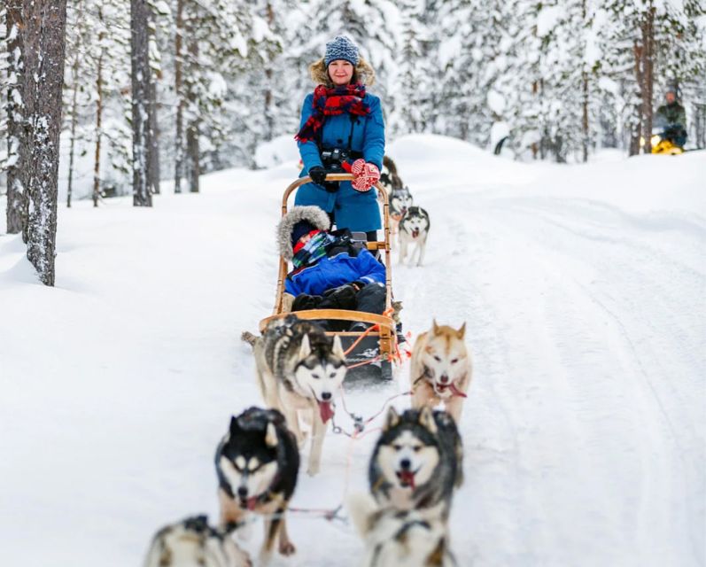 Rovaniemi: Husky Safari on a Snowy Trail - Getting there from Rovaniemi
