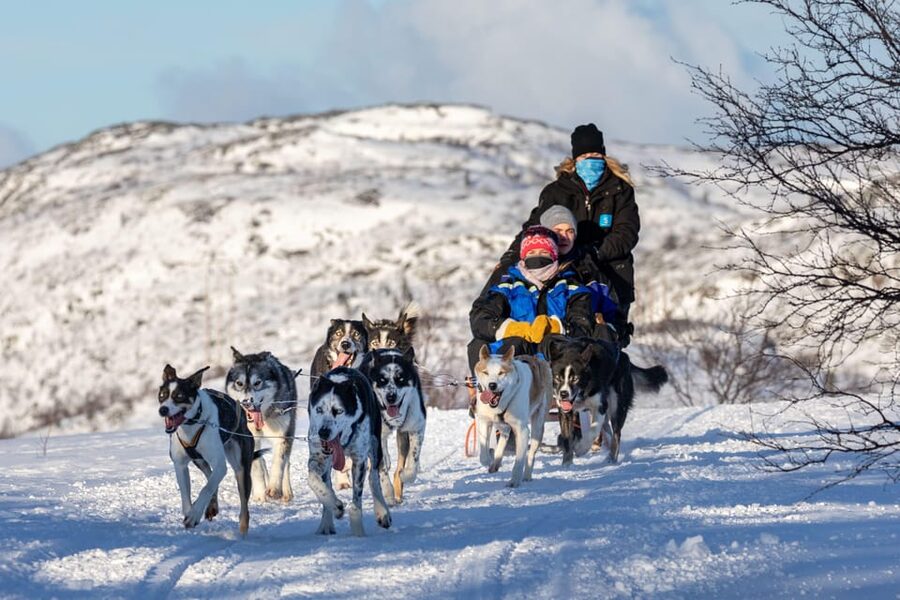 Rovaniemi: Husky Sled Ride and Farm Visit - Should you book this Rovaniemi husky ride?