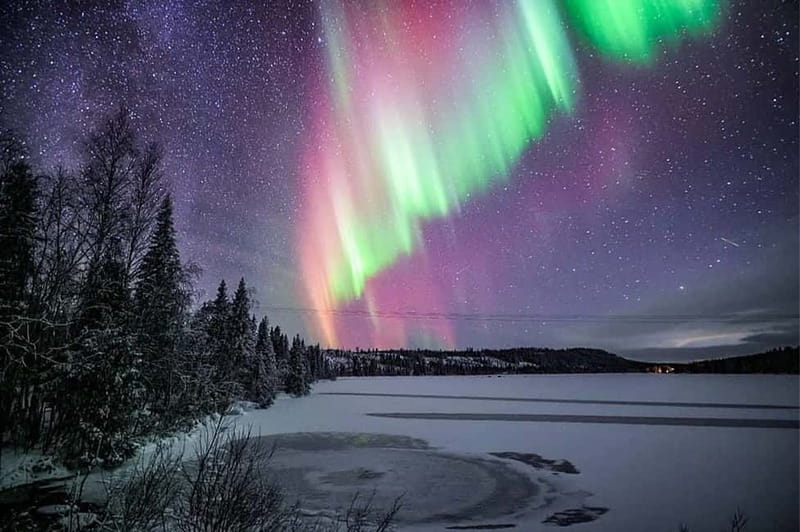 Rovaniemi: Ice Floating in Forest Lake with Aurora Borealis - Practical booking advice for Rovaniemi