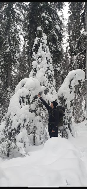 Rovaniemi: Korouoma Frozen Waterfalls Hike & Hot BBQ Lunch - Key points at a glance