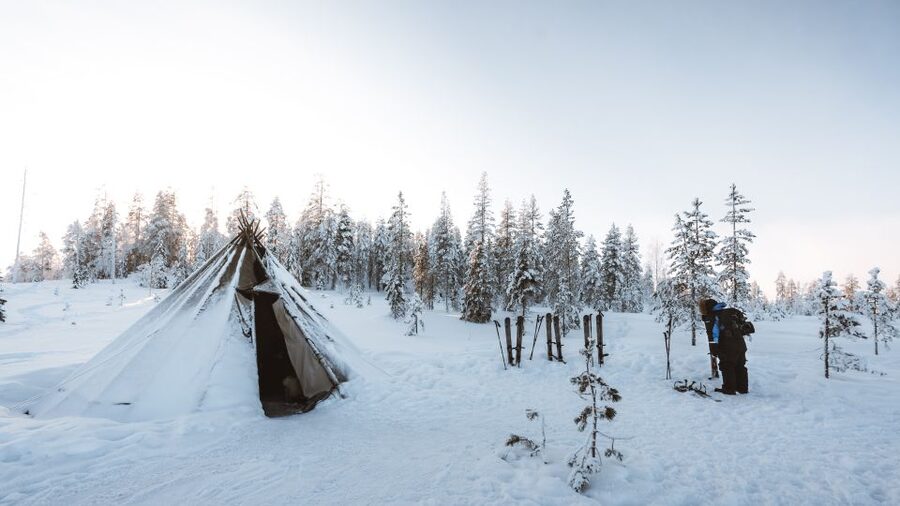 Rovaniemi: Lapland Ski Trekking Safari - Should you book the ski trekking safari?