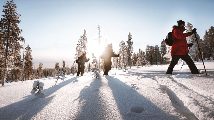 Rovaniemi: Lapland Ski Trekking Safari - Leaving Rovaniemi for the snowy Taiga