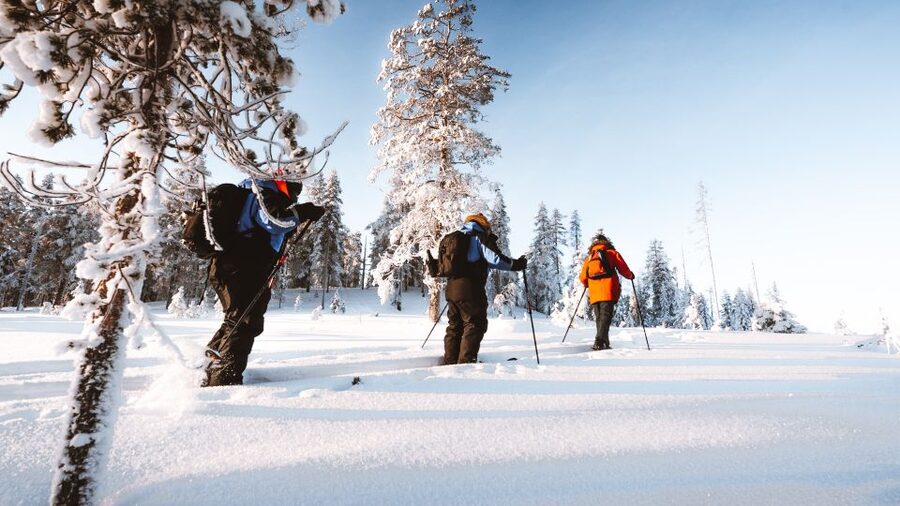 Rovaniemi: Lapland Ski Trekking Safari - The value of a $128, four-hour outing