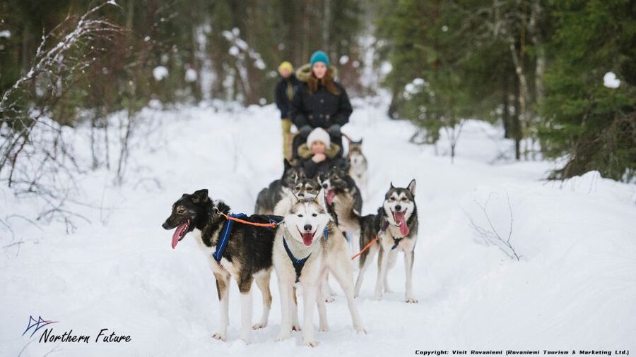 Rovaniemi: Meet Santa Claus, Reindeer Sleigh Ride & Huskies - The 400-meter reindeer sleigh ride