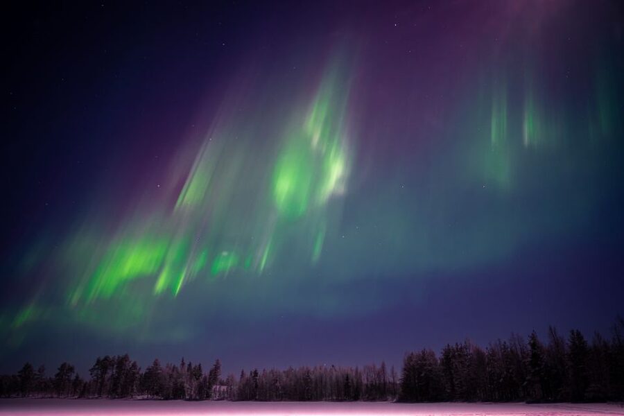 Rovaniemi: Night Sky lappish Barbecue - Who will enjoy this Rovaniemi evening