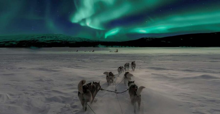 Rovaniemi: Northern Lights and Husky Sleigh Ride - Pickup details in Rovaniemi