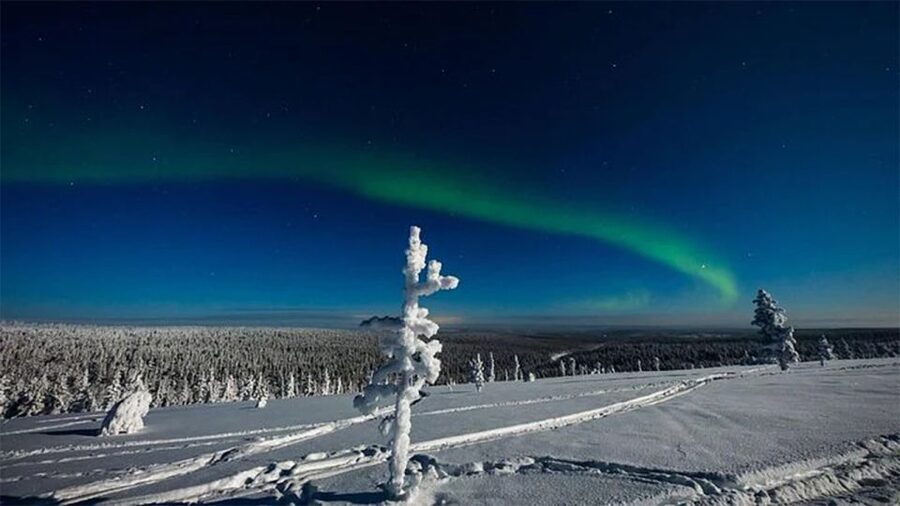 Rovaniemi: Northern Lights and Husky Sleigh Ride - Is $269 per person good value?