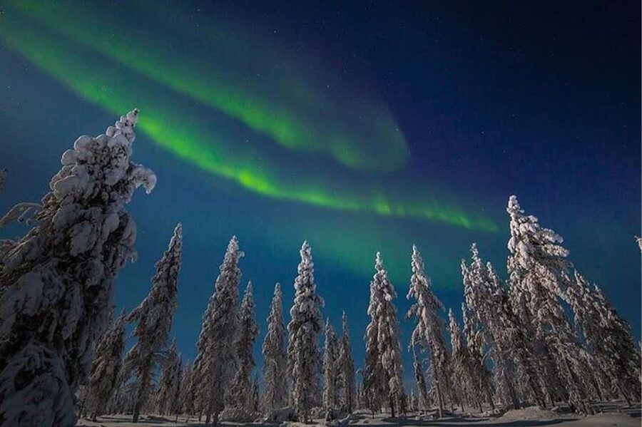 Rovaniemi: Northern Lights and Husky Sleigh Ride - Who will enjoy this tour most?