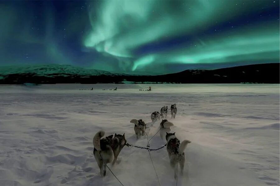 Rovaniemi: Northern Lights and Husky Sleigh Ride - The 5-kilometer sled ride