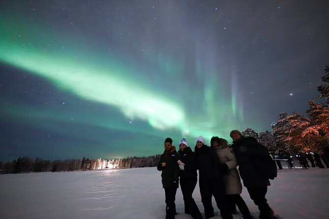 Rovaniemi: Northern Lights Group Tour - Guaranteed View - Minivan or bus: choose your group size carefully