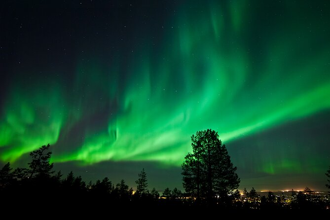 Rovaniemi: Northern Lights Group Tour - Guaranteed View - Professional photos are a real part of the value