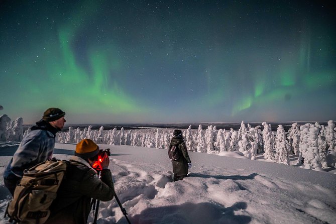 Rovaniemi Northern Lights Photography Small-Group Tour - The price and what you receive for $175.43