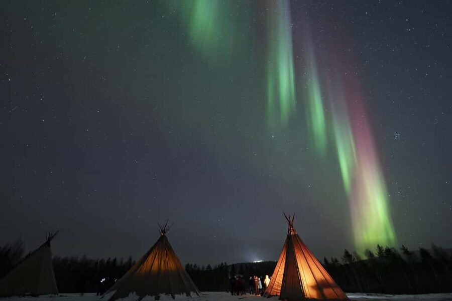 Rovaniemi: Northern Lights Photography Tour & BBQ - Campfire food: simple, warm, and local
