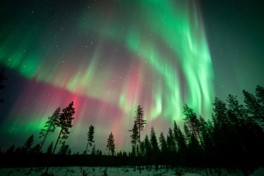Rovaniemi: Northern Lights Photography Tour & BBQ - Is $104 a fair price?