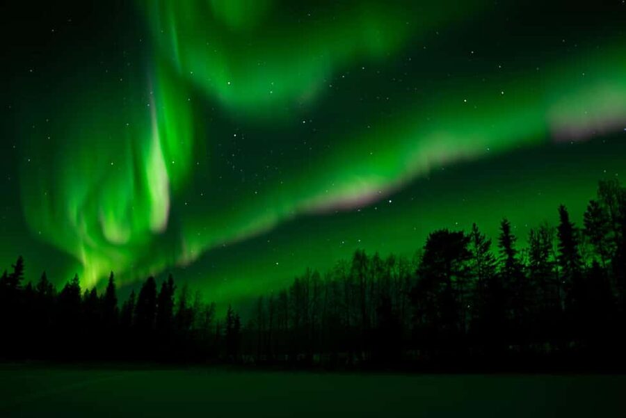 Rovaniemi: Northern Lights Photography Tour & BBQ - Booking details worth checking before you go