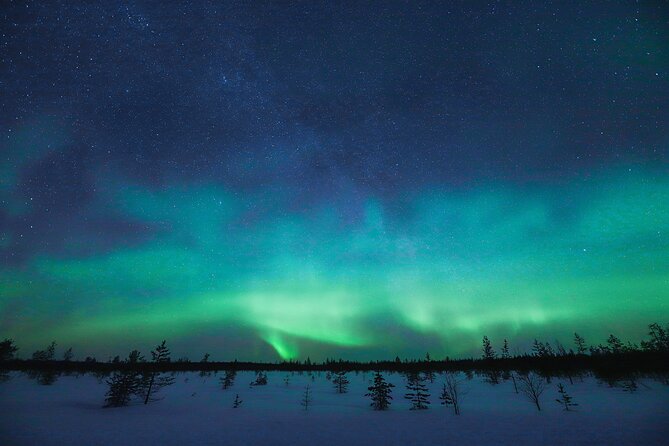 Rovaniemi: Northern Lights Pro Guaranteed - Unlimited Distance - Who should book this tour?
