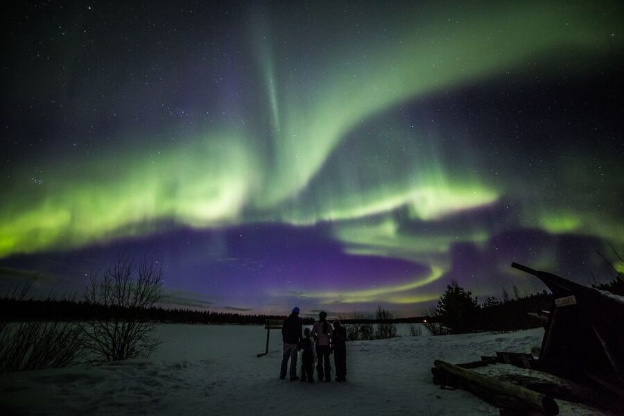 Rovaniemi: Northern Lights Sledge Ride - What happens at the offices in Rovaniemi
